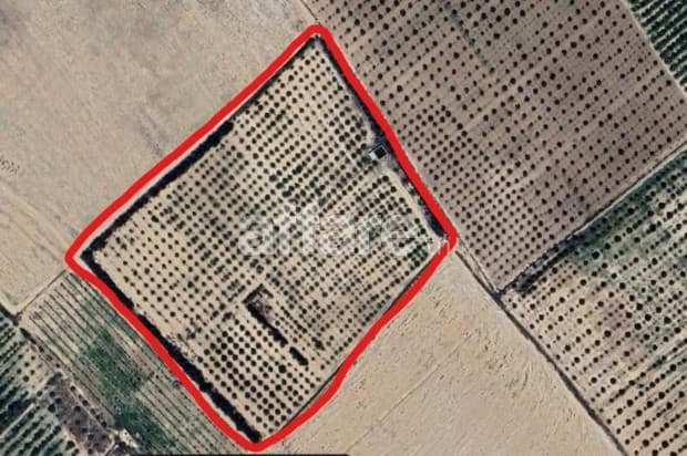  Ferme agricole irriguée 3,8 ha à vendre