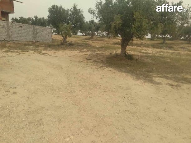 vente de lots de terrain constructibles à Soliman