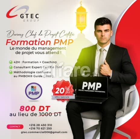 Formation PMP® : Project Management Professional 