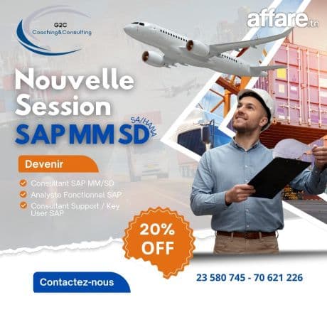 Formation SAP S/4HANA MM SD 