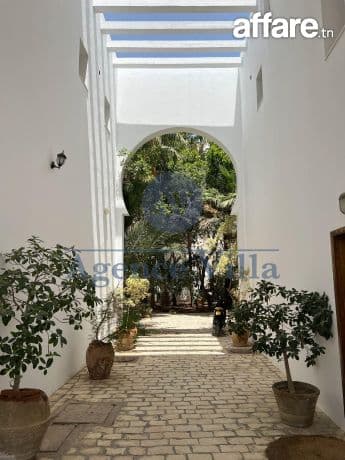 A louer s+5 au lac 1