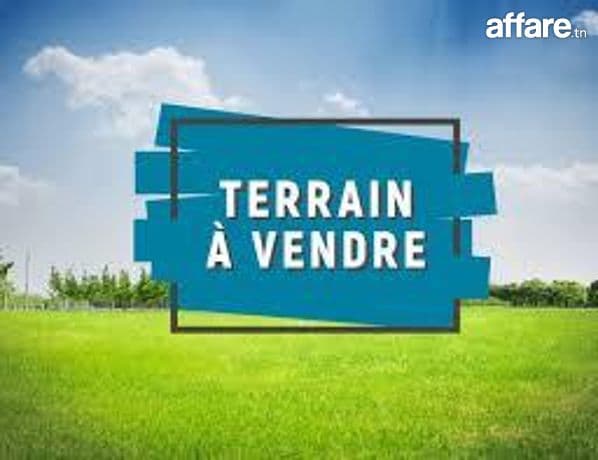 Terrain à vendre à Djerba 