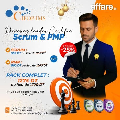Formation SCRUM & PMP