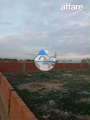 Terrain à vendre -à Kalâa sghira(Naqr)
