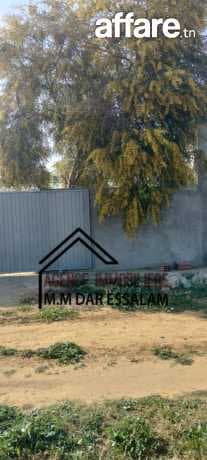 terrain agricole à vendre