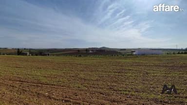 Terrain agricole de 5000 m² à Borj El Amri
