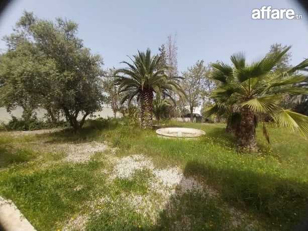 📍ZAGHOUAN ( SMINJA ) :  FERME À VENDRE
