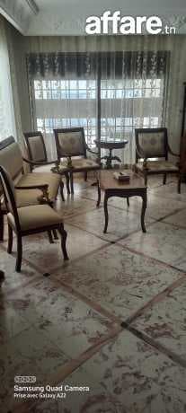 Salon antique importé sans tables