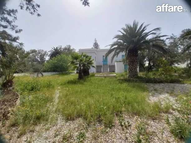 📍ZAGHOUAN ( SMINJA ) : UNE OPPORTUNITÉ A SAISFERME À VENDRE