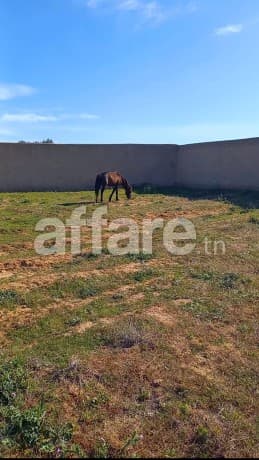 Terrain entièrement clôturé à HAMMAMET 8200m²