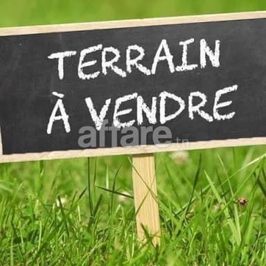 Terrain agricole à vendre 