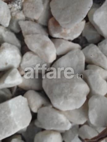 Projet moderne adapté aux exigences 