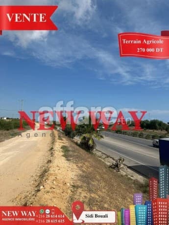 Terrain Agricole à Sidi Bouali près de l autoroute et GP1