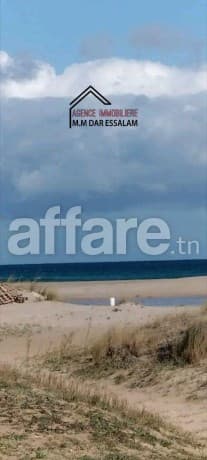 terrain deuxième position de la mer