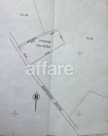 Très agrèable Terrain entièrement clôturé  8200m² à HAMMAMET
