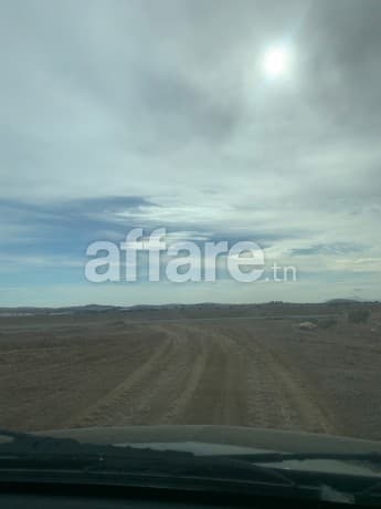 Terrain agricole  à vendre 