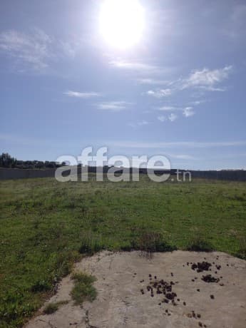 Terrain  entièrement clôturé de 8200m² à vendre à Hammamet 