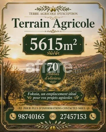 #Terrain d'invesstisement [#5615m²] #Sur l'autoroute #Fokaia