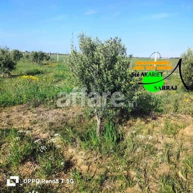 #Senia #Clôturé [#12000m²] #Al Sath Vers #Chouicha 