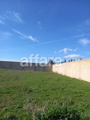 Terrain  entièrement clôturé de 8200m² à HAMMAMET 