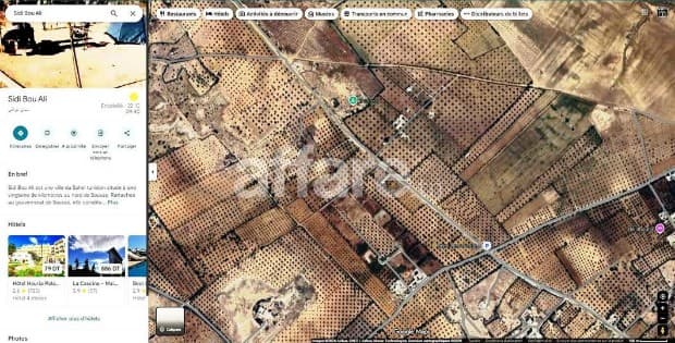 Terrain [#4 Hectares Et 800m²] #Sidi Bouali Vers #Knena 