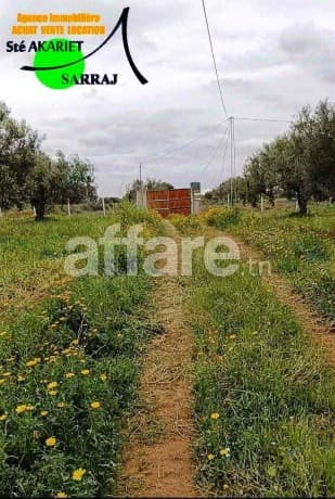 #Terrain Agricole [#4060m²] Pas loin #Dar Zitouna 
