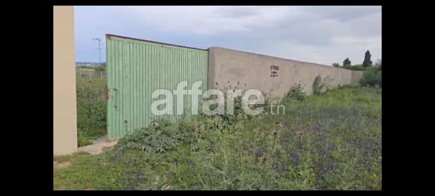Un terrain de1000 m2 sur la route principale