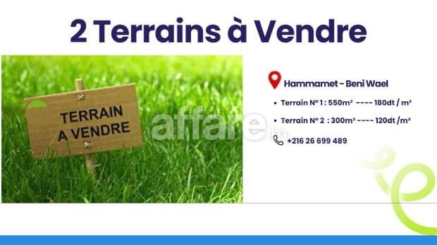 Terrain à vendre à Hamammet 