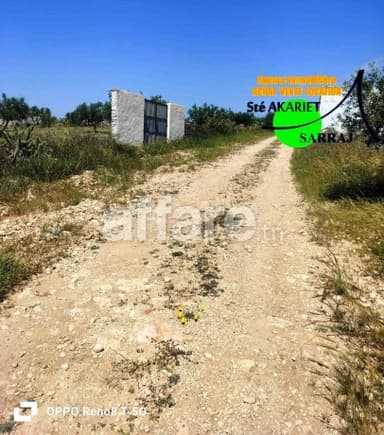 Terrain Agricole 4 Hectares Et 800m² Sidi Bouali Vers Knena
