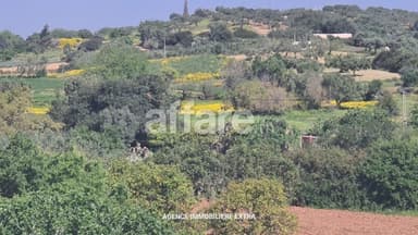 Terrain à vendre à Somâa – Lotissement approuvé