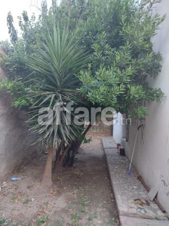 opportunité a ne pas rater 