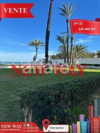 (S+2) à Chatt Mariem, Pied dans l'eau