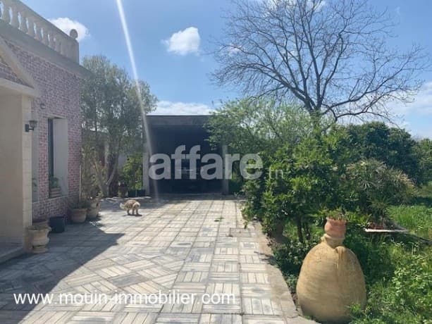 Ferme Oliva T1230 nabeul