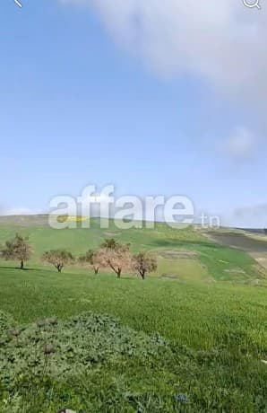 TERRAIN A VENDRE A TEBOURSOUK