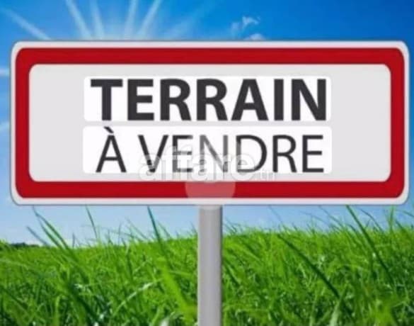 À vendre un terrain agricole à Djebal Ouest