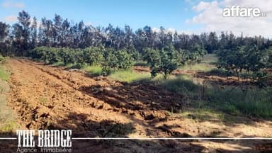 Ferme de 13 hectares à Gobet l’agha