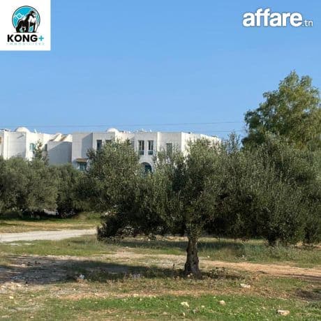 #terrain a vendre#  ☎️97.621.860☎️