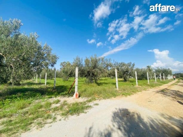 500م² في البسباسية #الحمامات_الجنوبية🏖️💜 📍50م عالكياس بلا