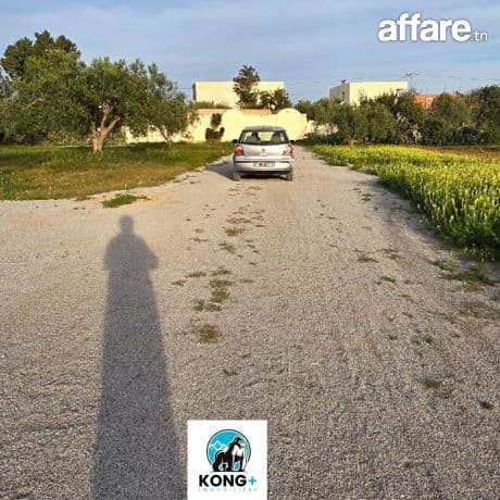 👌terrain à #vendre# ☎️97-621-860☎️