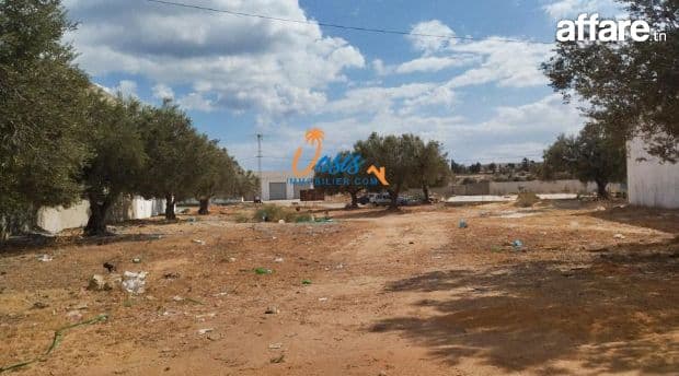 A vendre terrain en face de jinene Hammamet