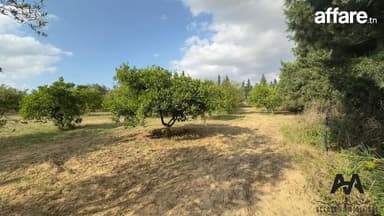 Terrain agricole de 2500 m² à El Machrouha, Gouvernorat de N