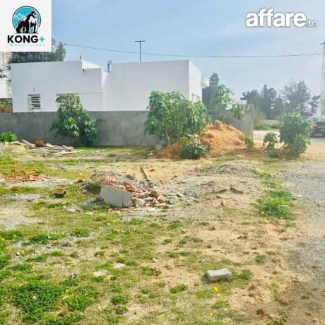 #TERRAIN A VENDRE# 97.621.860