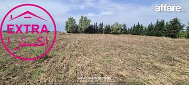 Campagne à El Machrouha (Bou Argoub)