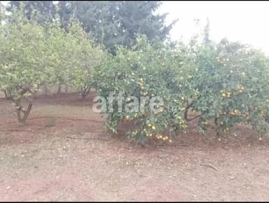 Terrain ezzahra 500m2 fait angle