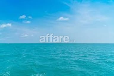 Offre limité de 5 hectare