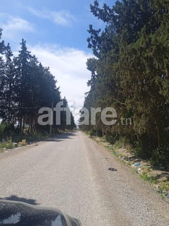 A vendre terrain a zaouit mornag ben arous