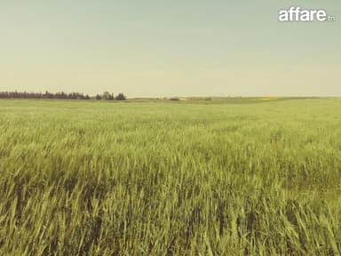  2 hectares pour une petite ferme