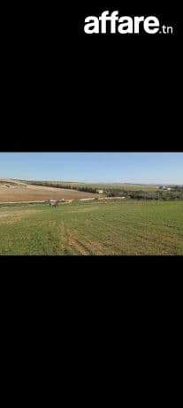 5 hectares excellent terrain agricole