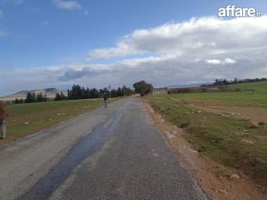 30 hectares propices a tous les arbres fruitiers