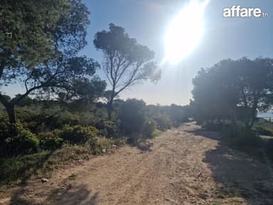 Terrain à Gammarth – El Marsa